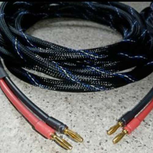 Venus speaker cable 4.9米1對 蕉頭