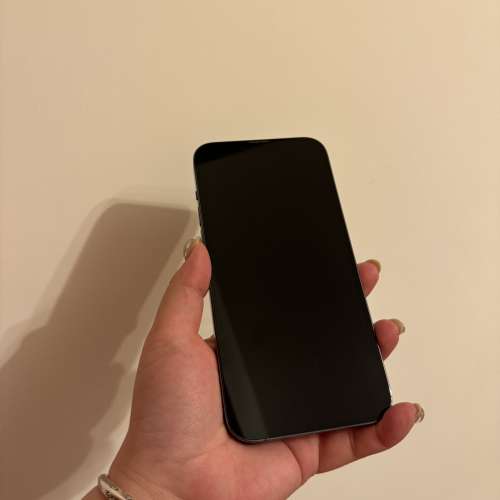 iPhone 13 Pro Max 512GB 天峰藍，外觀近乎全新