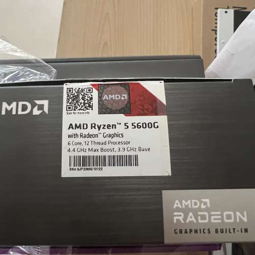 盒裝 港行 5600G 核顯ITX必用