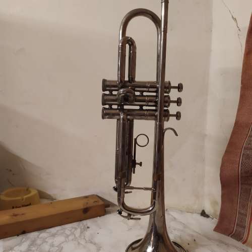 trumpet  小號