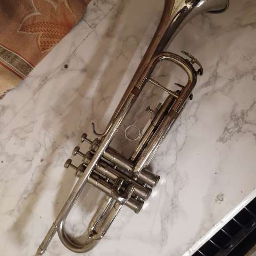 trumpet  小號