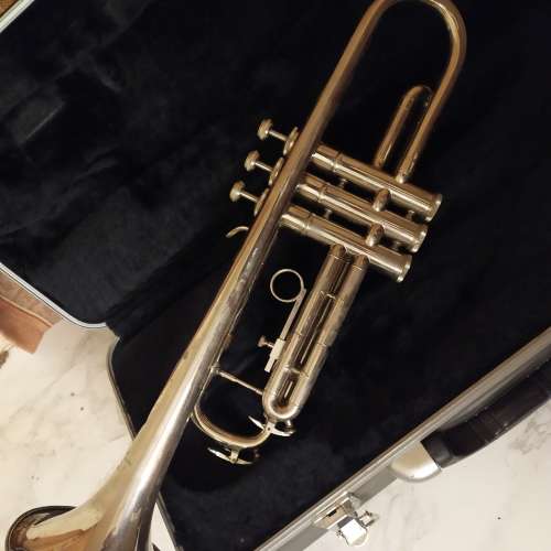 trumpet  小號