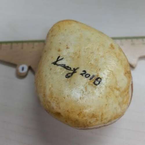 Cat - Painted Stone  石頭貓繪