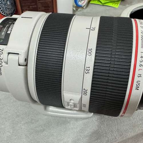 Canon 70-300mm 4-5.6L