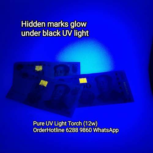 大功率UV 純紫外光手電筒. Pure Ultra Violet Light Torch. 波長365nm. 照演唱會門...