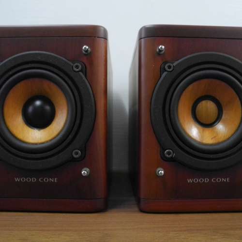 JVC SP-AX1 wood cone 喇叭