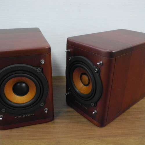 JVC SP-AX1 wood cone 喇叭