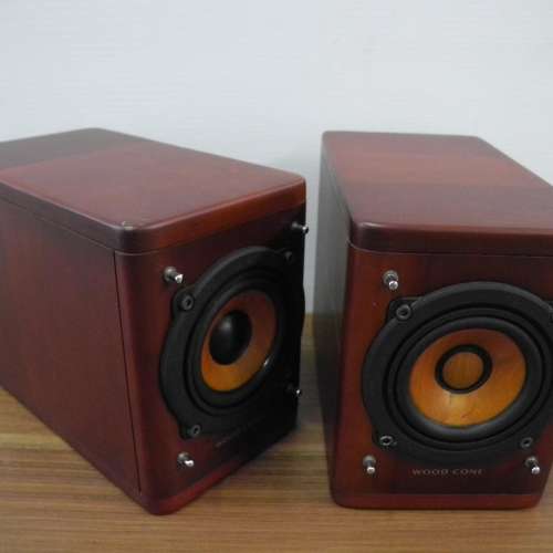 JVC SP-AX1 wood cone 喇叭