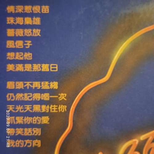 杜麗莎黑膠唱片