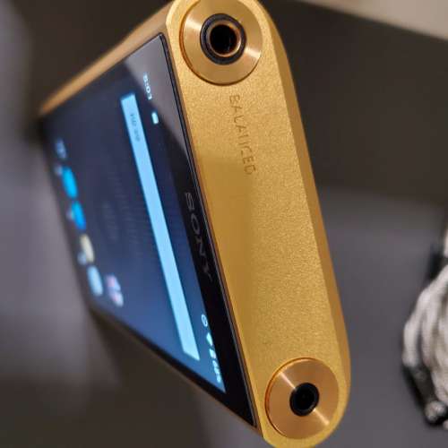 Sony Wm1zm2 新金磚2代 99 新 港行