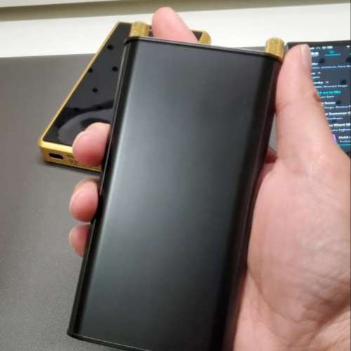 日本職人手工amp Sound tiger 6 月 購入 99 新