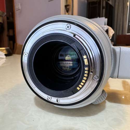 Canon EF 100-400mm f4-5.6