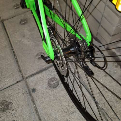 Giant anyroad 全碳纖