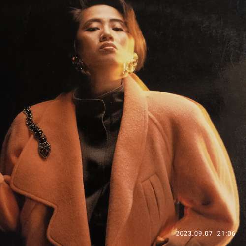 梅艷芳黑膠唱片