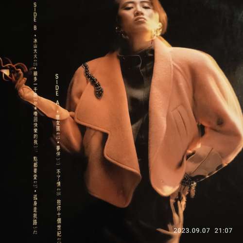 梅艷芳黑膠唱片