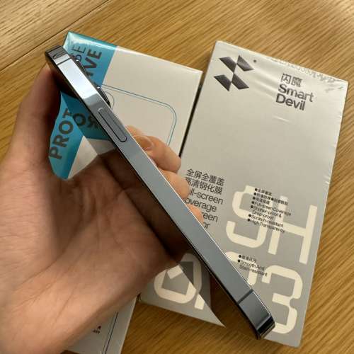 iPhone 13 Pro 256GB (送全新閃魔貼 & 全新case)