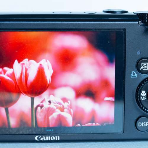 Canon PowerShot S95 CCD Digital Camera