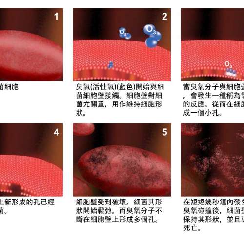 有折扣! Aspetic Space 9999超氧儀 Ozone Air Purifier 殺菌、消毒、漂白、除味