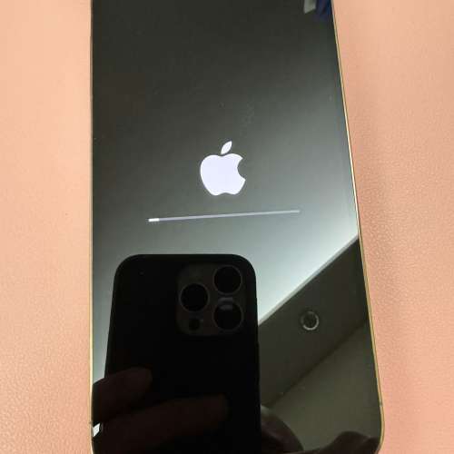 Apple iPhone 12 Pro Max,256GB 金色