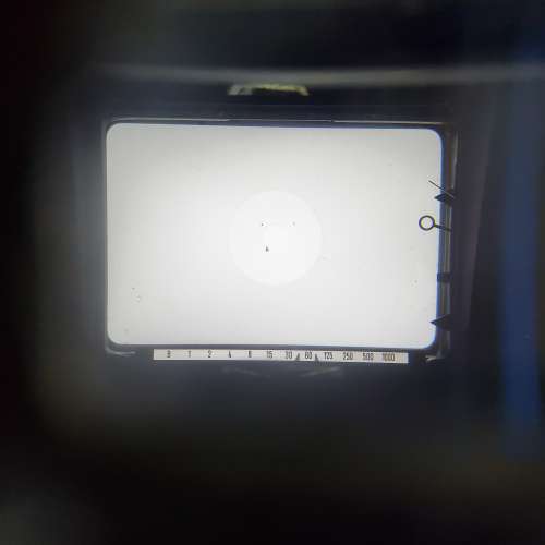 Minolta SRT101 (黑漆) No. 1851431