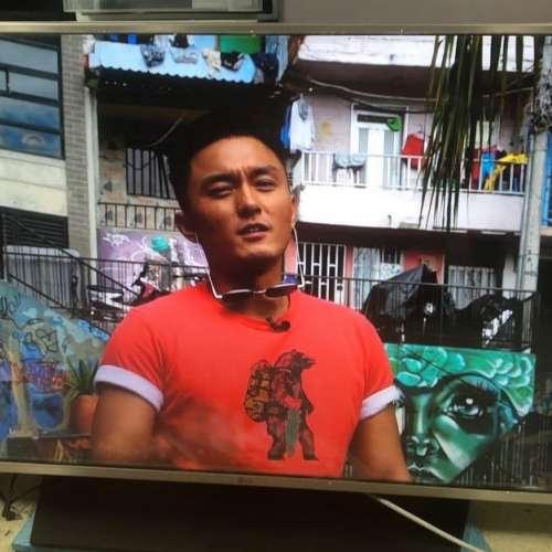 LG 49吋 49inch 49LF6310 智能電視 smart tv