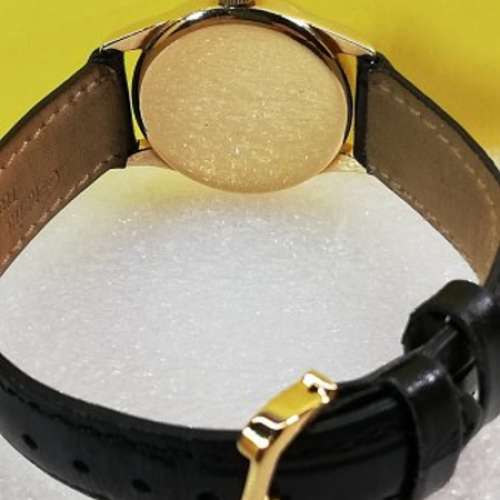 IWC (萬國錶) 18K solid gold 腕錶