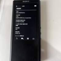 Sony NW-ZX300A