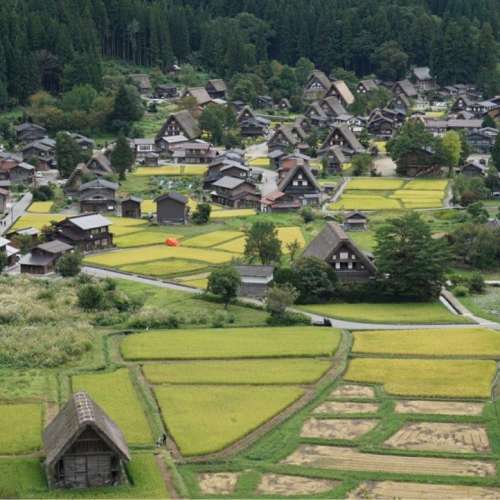 Sony 16-50 Alpha E Mount Power Zoom E PZ 16-50mm F3.5-5.6 OSS