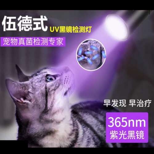 神火多用途高純度紫外光電筒 Pure UV Light Torch 365nm，照貓癬燈。配18650鋰電池...