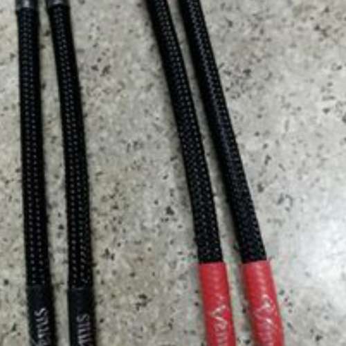 Venus by pass 喇叭接線