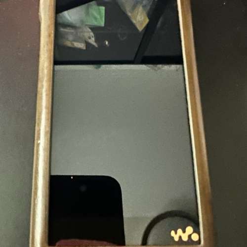 港行Sony wm1zm2 新金磚二代連Dignis case