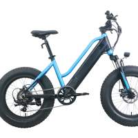 Electric Bike 22-15