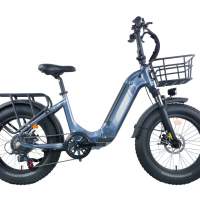 Electric Bike 23-02