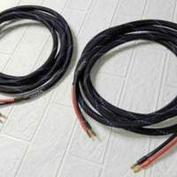 Venus speaker cable 4米長蕉插