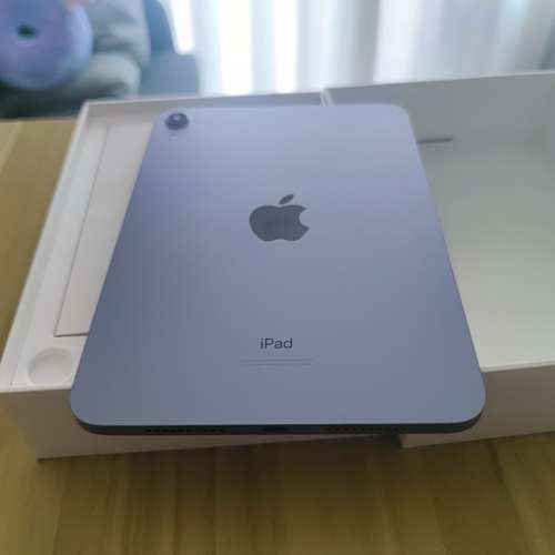 ipad mini 6