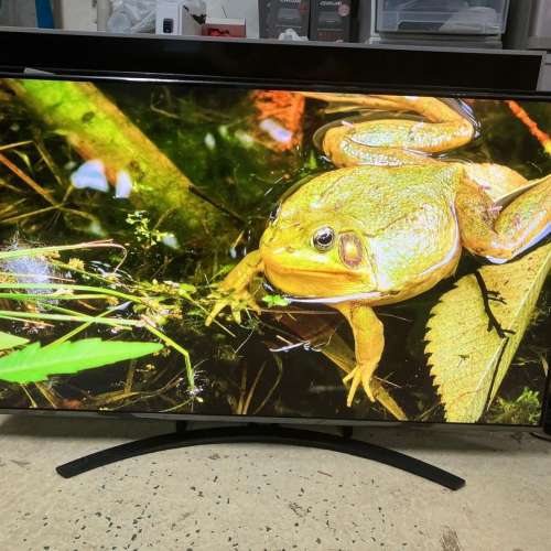 LG 55吋 55inch 55Nano86 4K 120hz Nanocell 4K smart tv $5000 (全新）