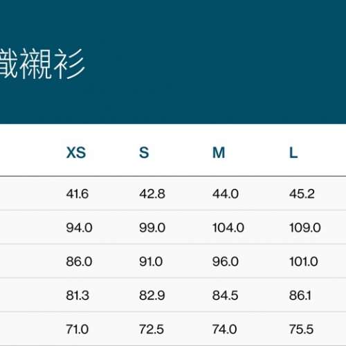 全新 DETERMINANT 純棉 免燙恤衫『XL』