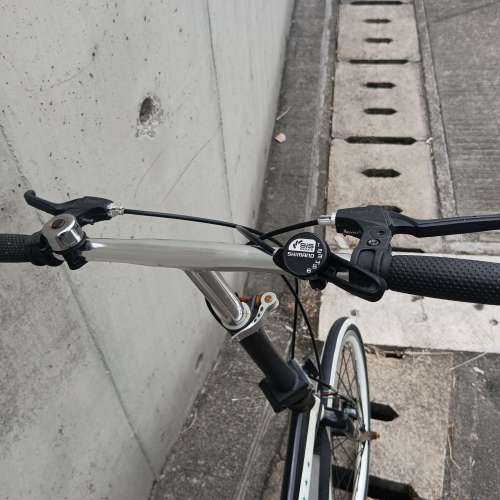 成人 單車一部 ，20吋，可摺。