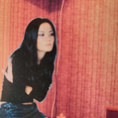 王菲最精彩演唱會CD