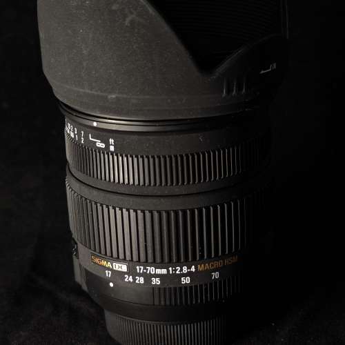 Sigma 17-70mm F2.8-4 DC MACRO OS HSM ( for Nikon F mount)