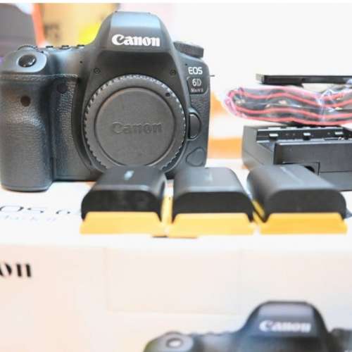 Canon EOS EF 6DII mark2 more than95% new 2019購入