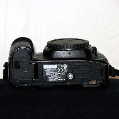 Canon EOS 5D Mark II 佳能 5D2