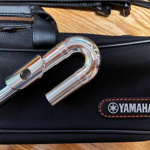 放售全新兒童專用U型笛頭(原價$1550)