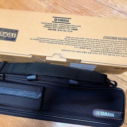 放售全新兒童專用U型笛頭(原價$1550)