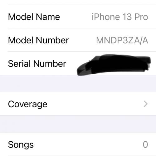 iPhone 13Pro 256 95%新