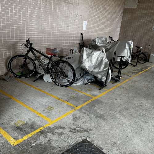 大埔單車泊位 bike bicycle parking