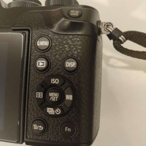 Panasonic GX8，NOT EM1 EM5 OM1 GX9