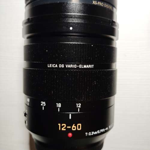 Panasonic Leica DG 12-60mm / F2.8-4.0 (M4/3)