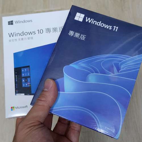 微軟windows10 windows11 pro 專業版 彩盒裝 繁體中文 USB手指安裝WIN10/WIN11