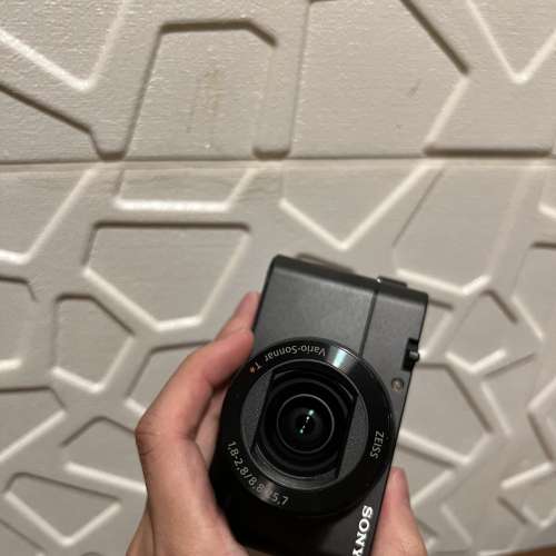 Sony RX100V 數碼相機 (rx100m5)